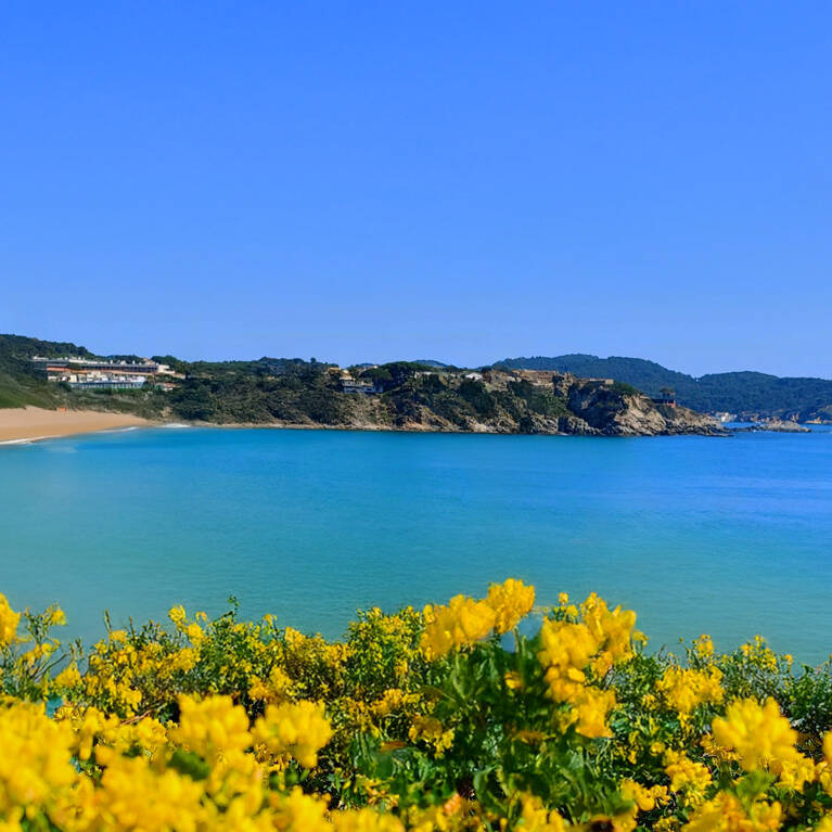 Camping Palamos